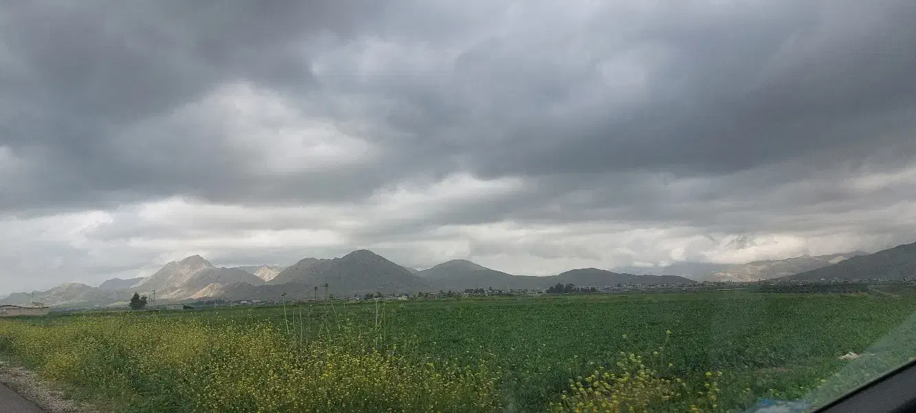 زمین