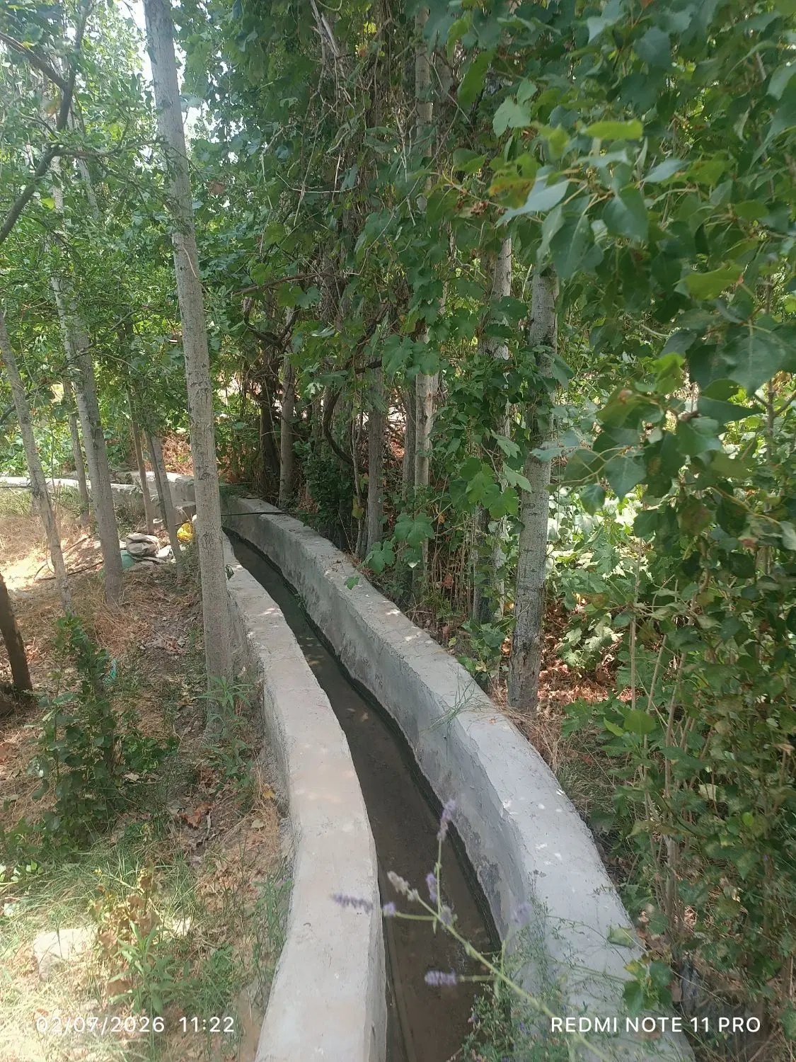 خانه باغ