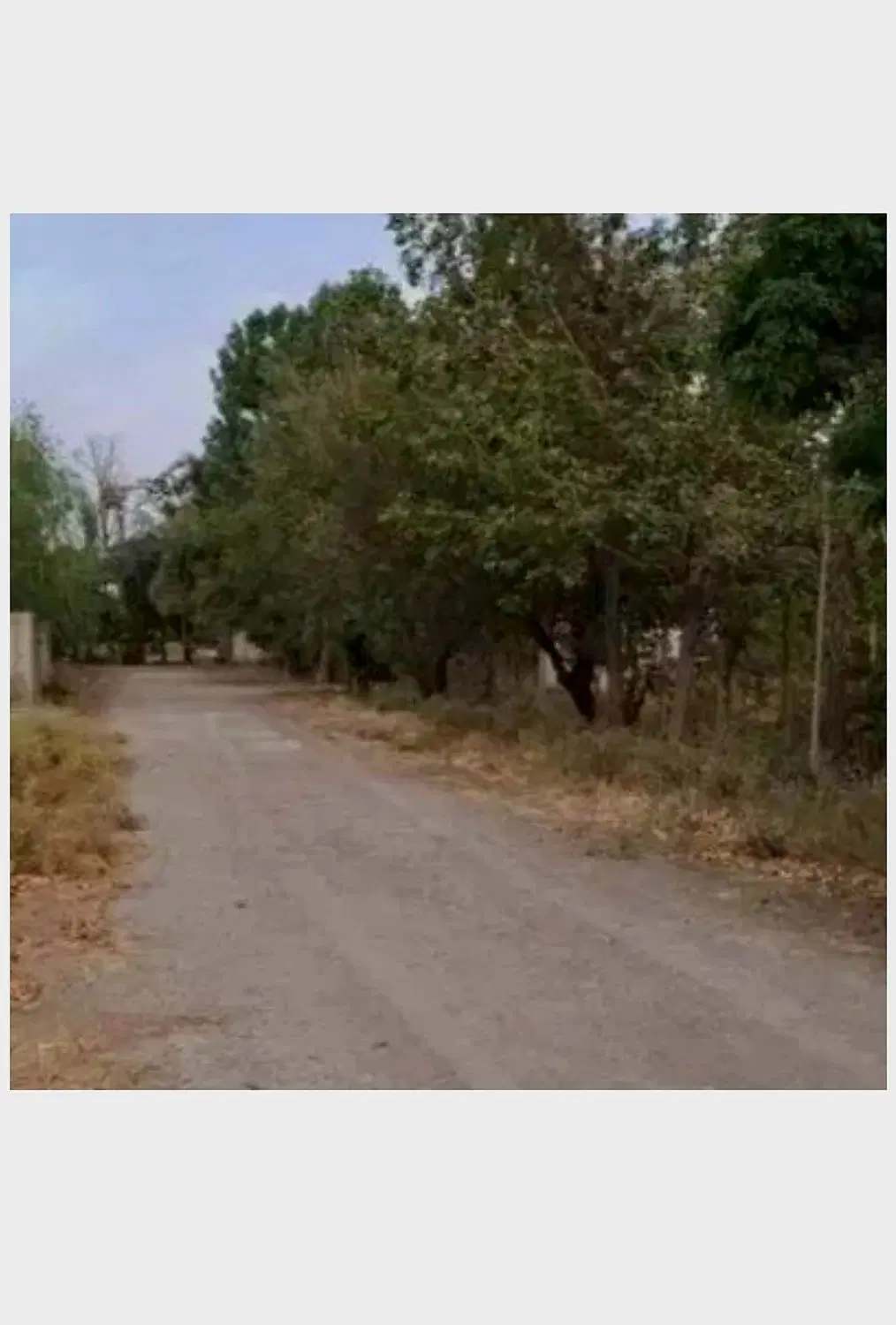 ۴۵۰مترزمین فرهودیه هشتگرد