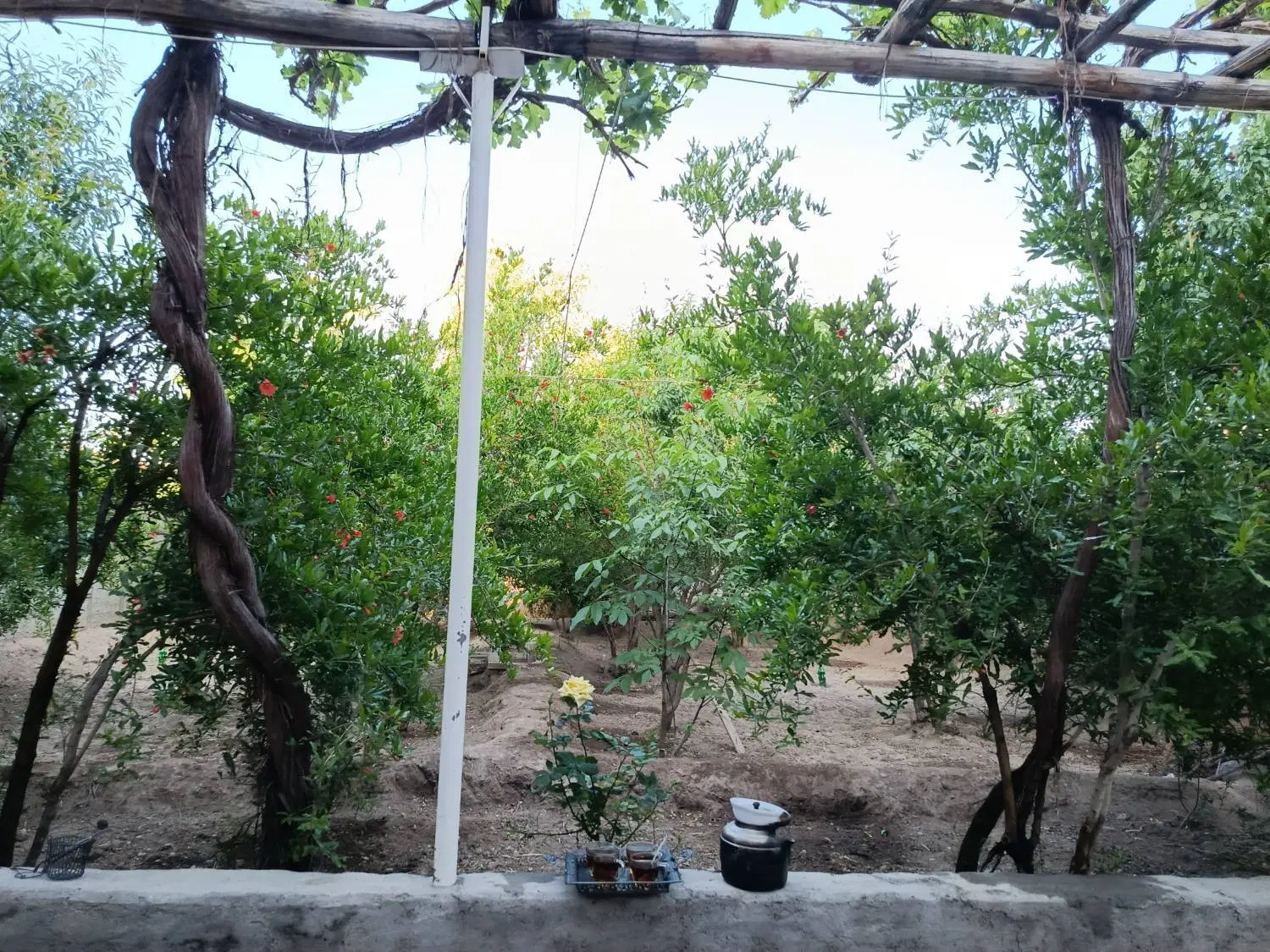 معاوضه خانه باغ تفت با مسکونی یزد