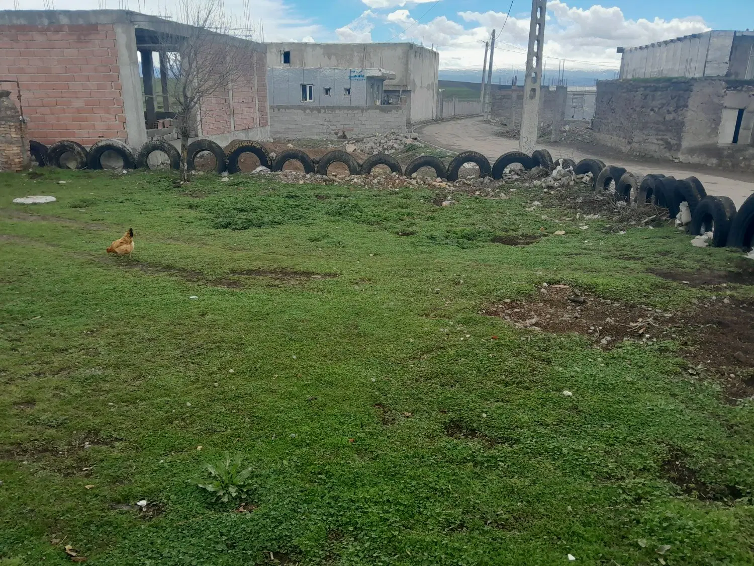 ملک کنلکی