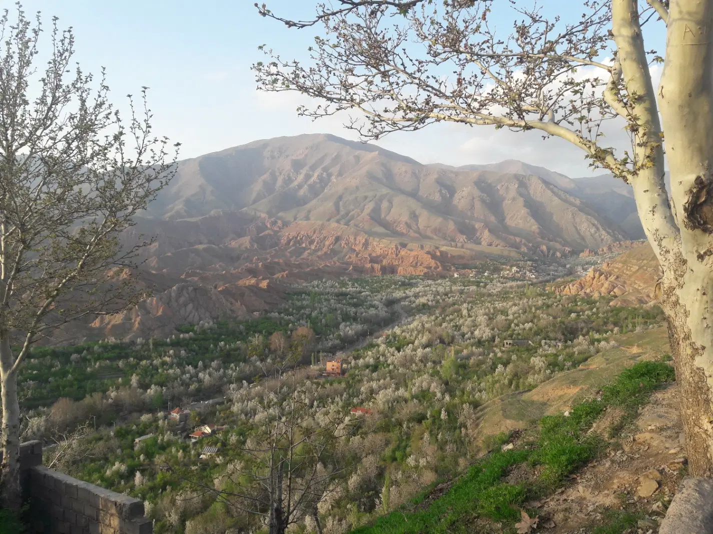 حیطه طلا مجموعه شرکت برق