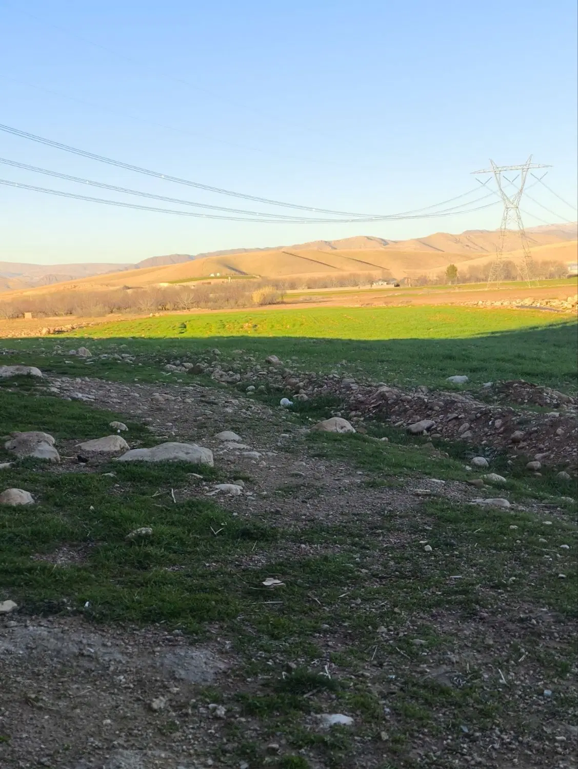 اجاره زمین کشاوزی
