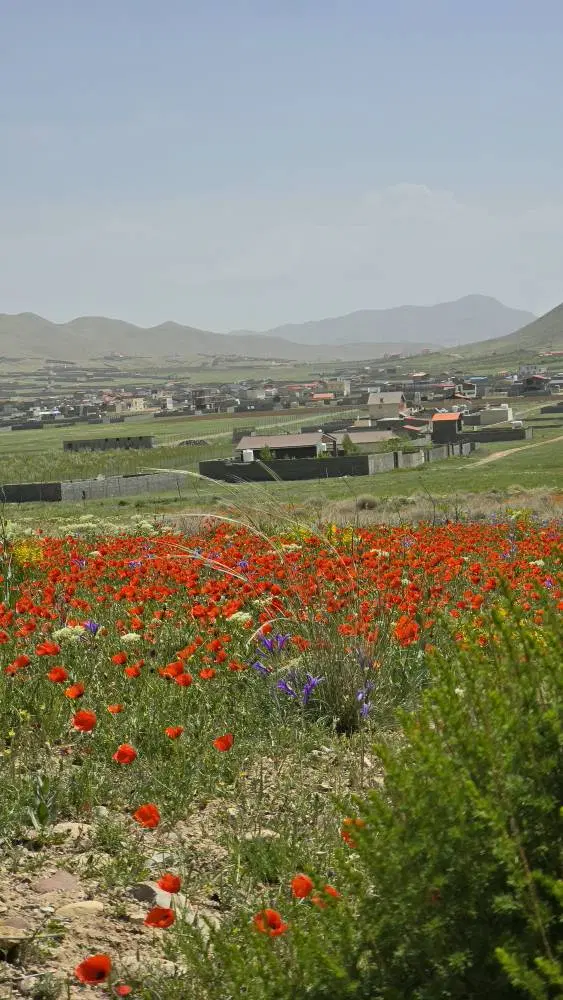 ۴۲۰مترزمین ویلایی منطقه ییلاقی