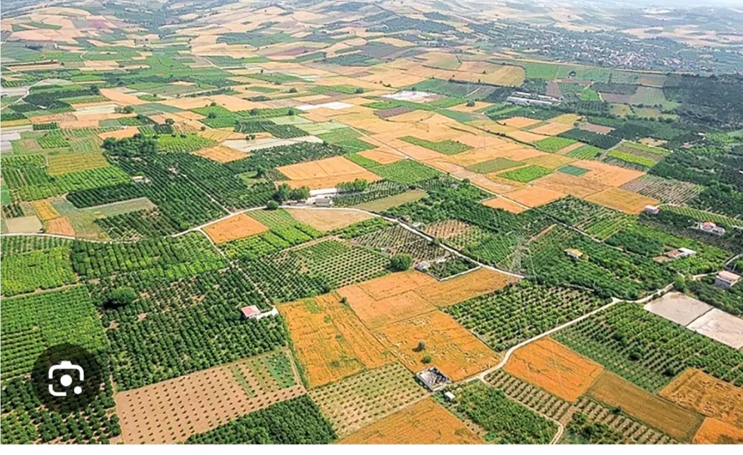 زمین باغی