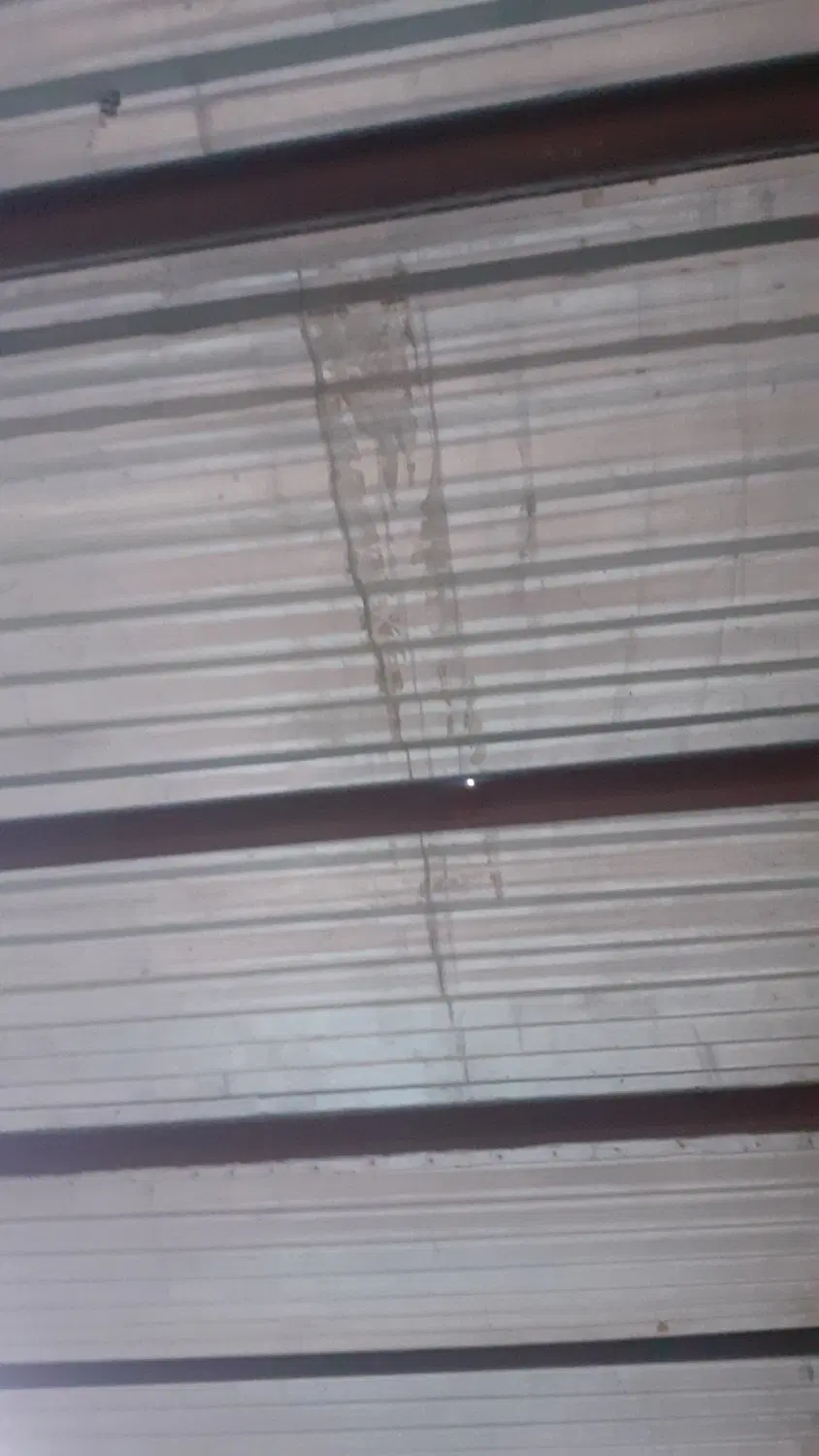 مغازه اجاره ای