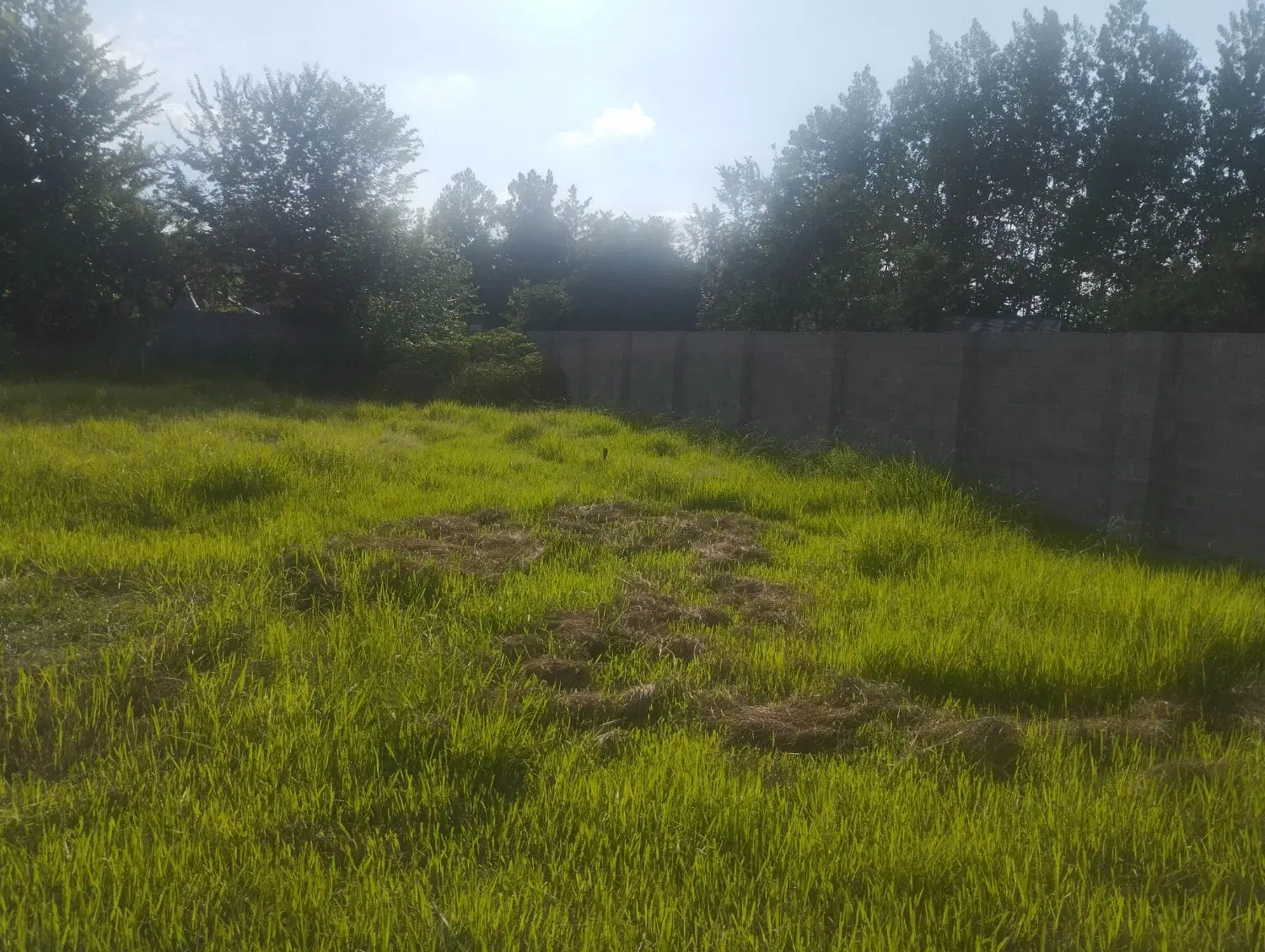 فروش زمین مسکونی با اصالت در رشت