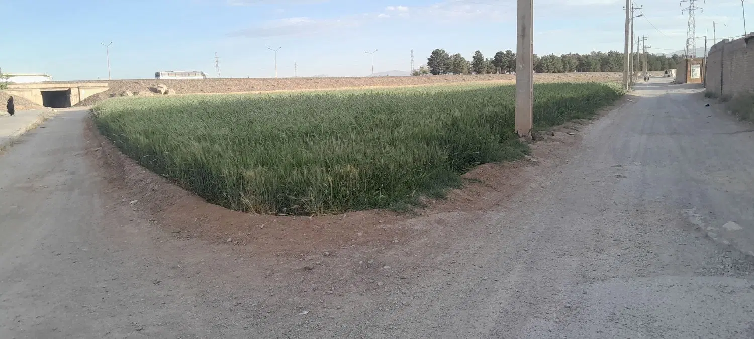 زمین کشاورزی