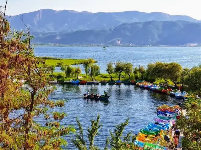 سویت