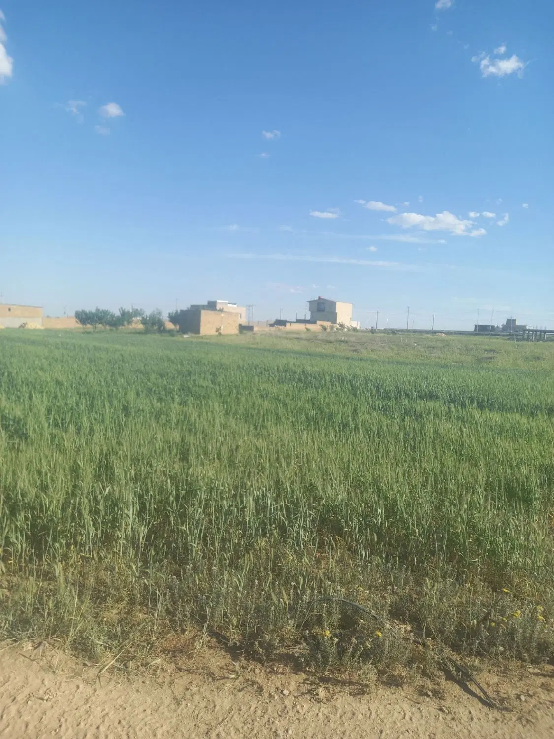 زمین مسکونی نزدیک بلوار شهرک خورهشت