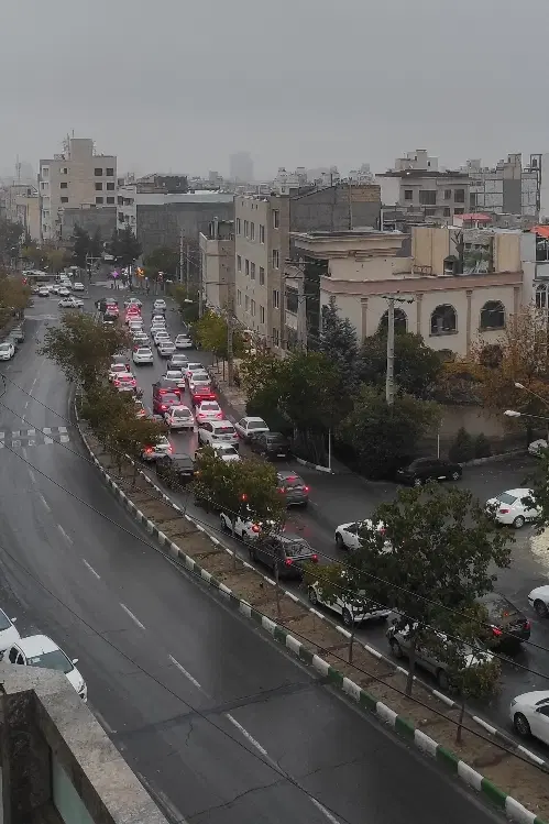 هم خانه همخونه همخانه