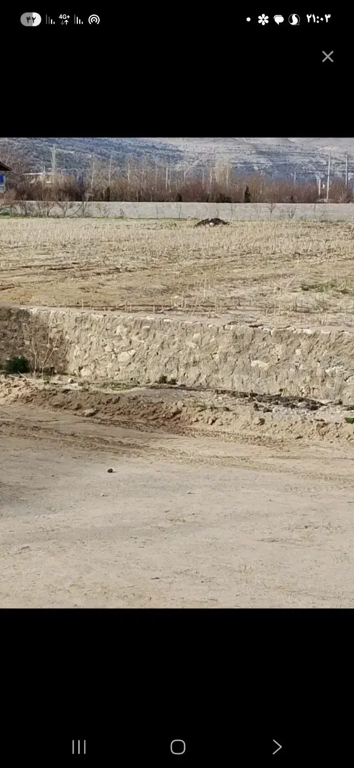 فروش زمین