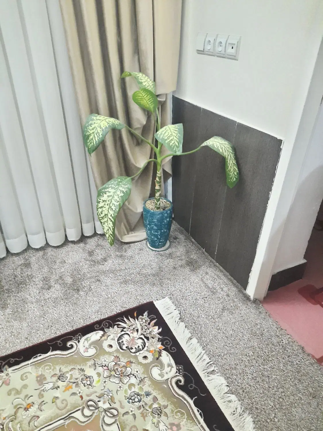 زمین باغچه ای کوه چنار