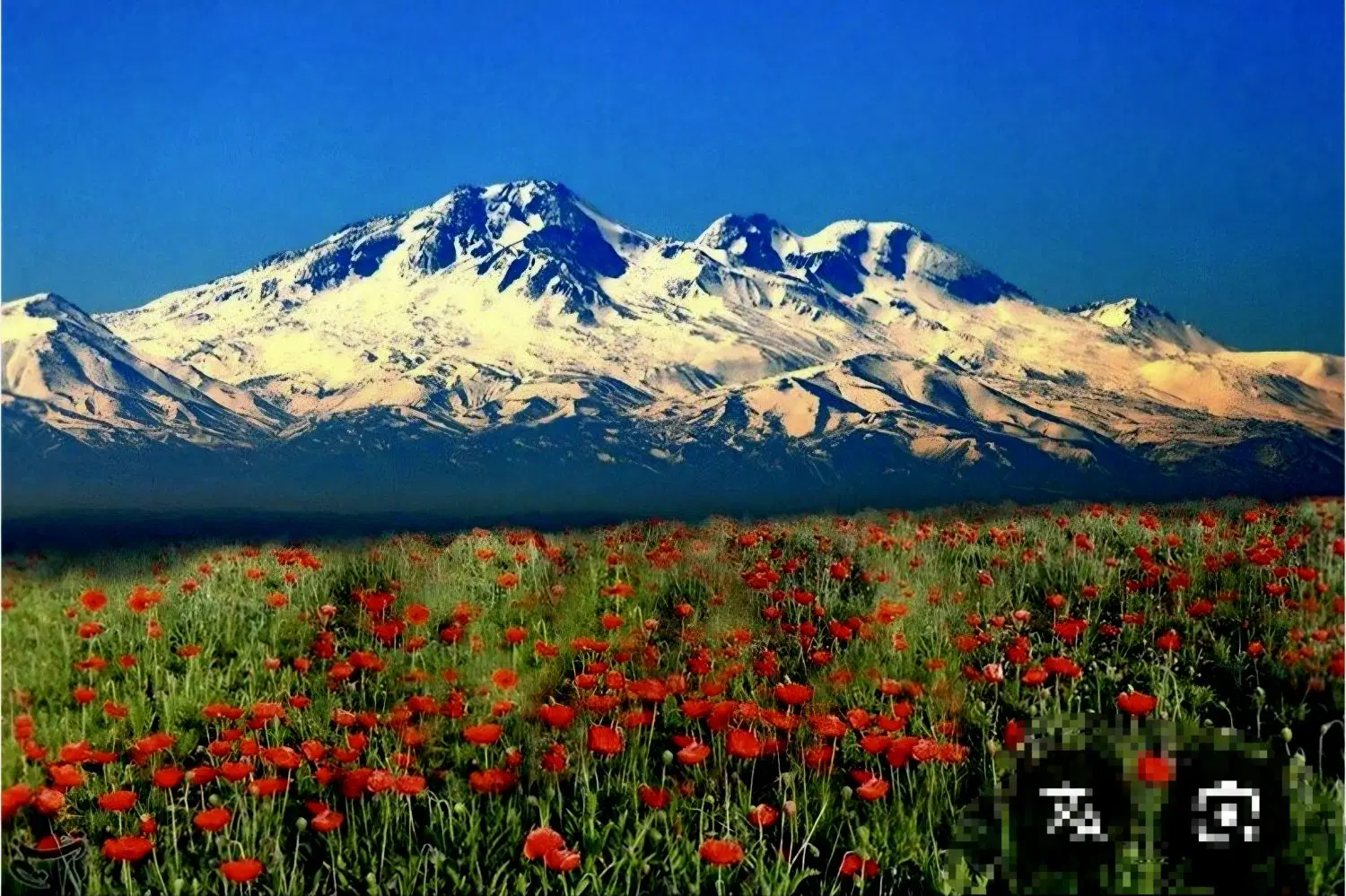 پیش فروش واحد در شهر توریستی سرعین .