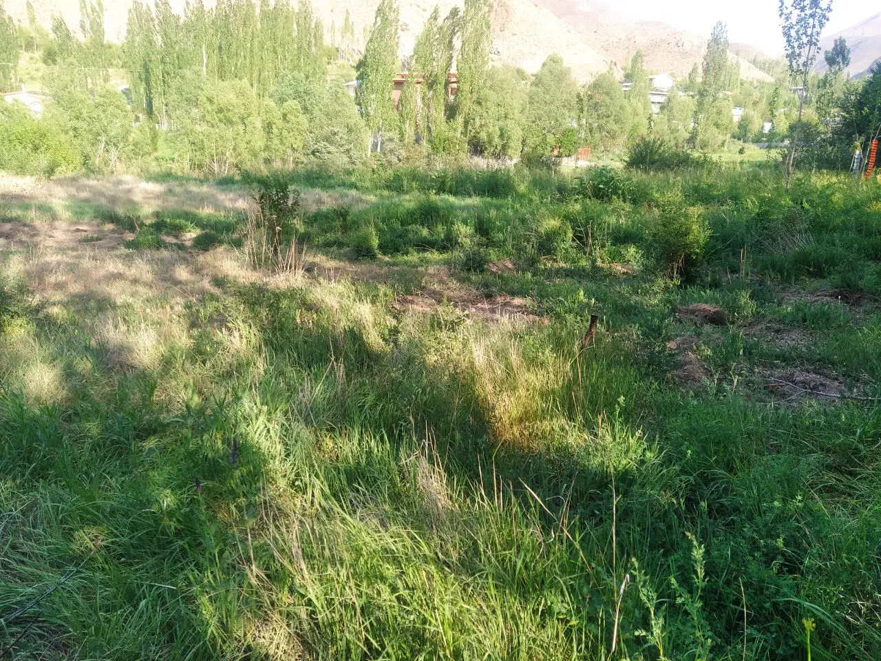 زمین فروشی بلده روستای سادات محله