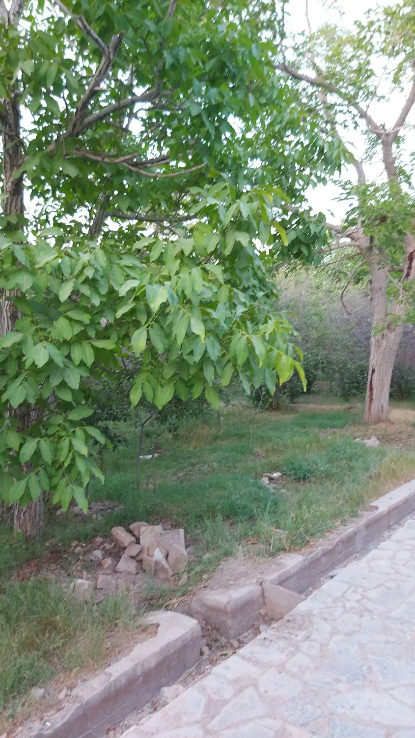 باغ نصرآباد