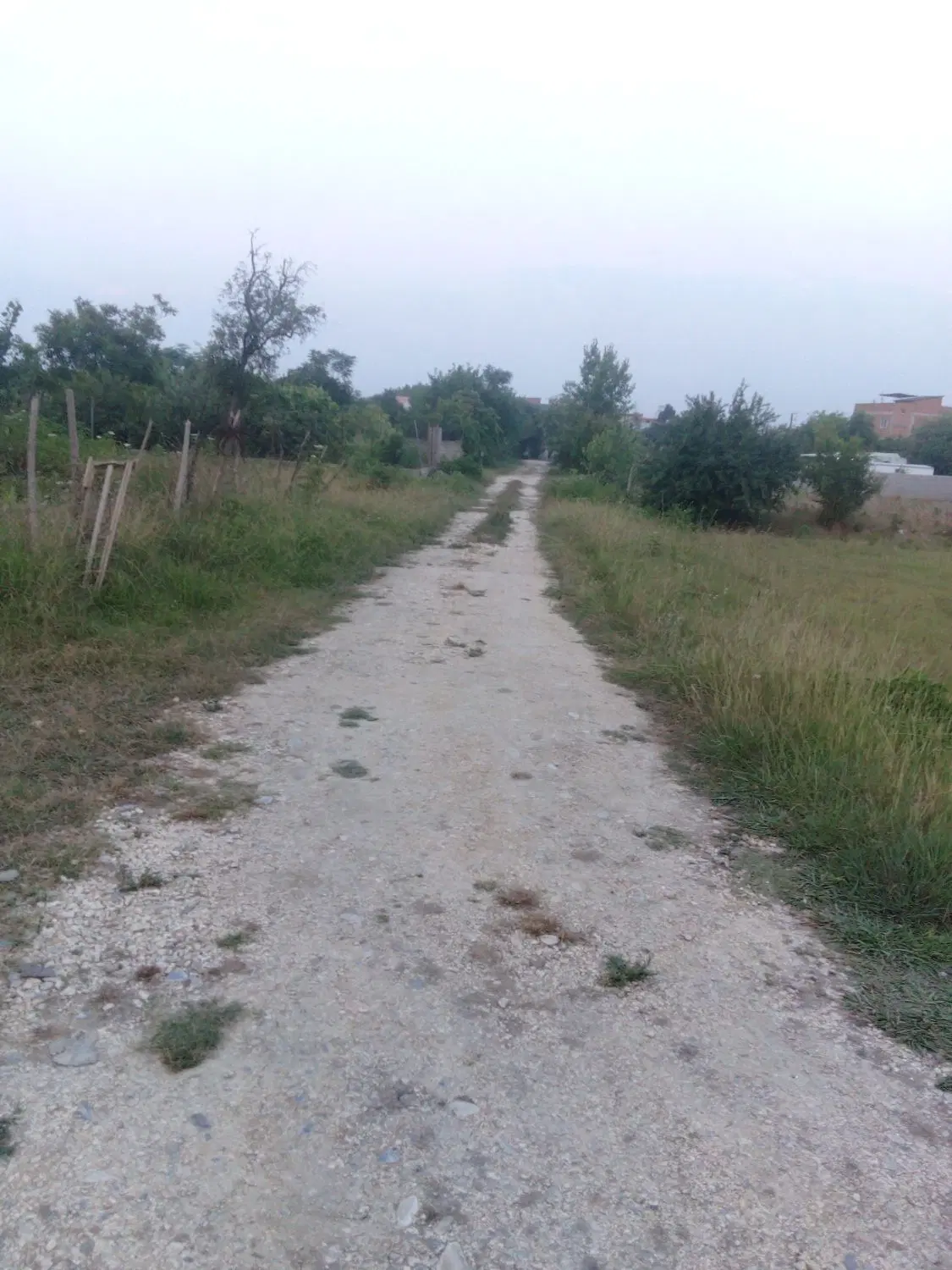 زمین درساری قراردارد