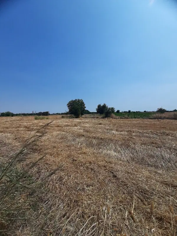 فروش زمین ۲۵۵ متری روستای ولیک‌آباد
