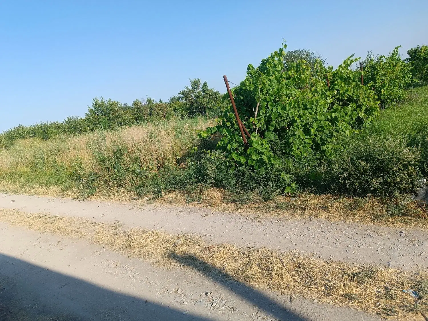 باغ درسنتو تازه کند۲۰۰۰متر