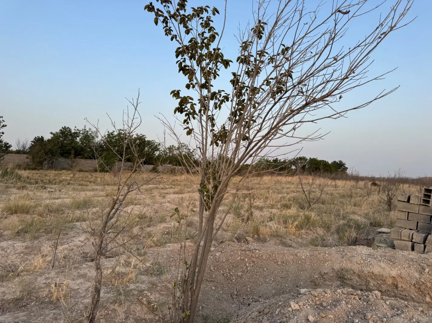 فروش زمین