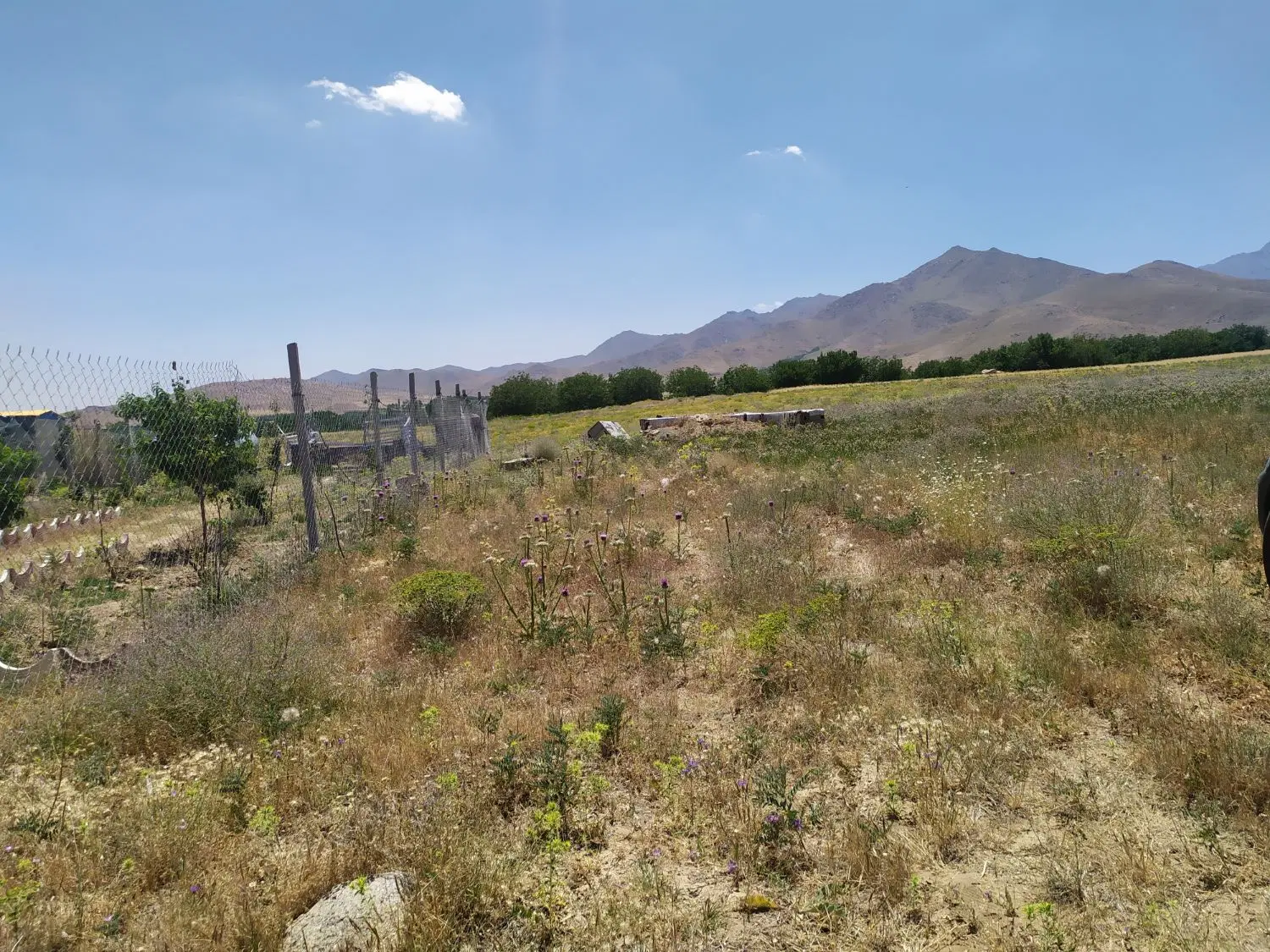 زمین کشاورزی باغی