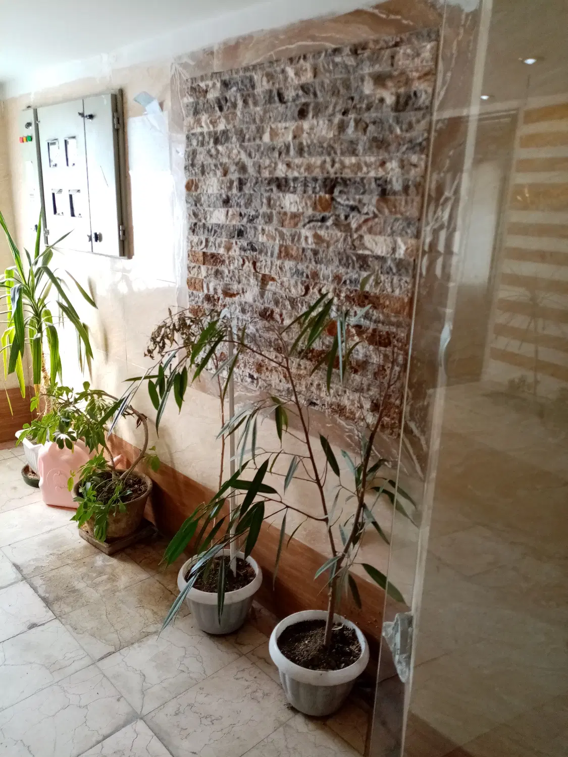 مستغلاتی