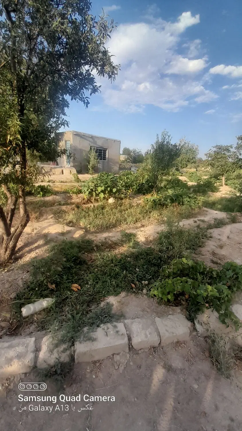 باغ نقلی