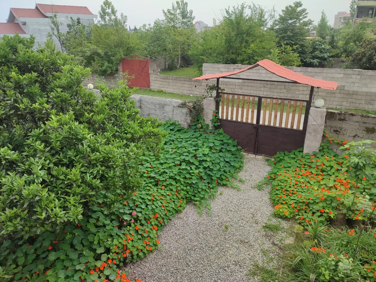 اجاره روزانه سوئیت جنگلی دربست