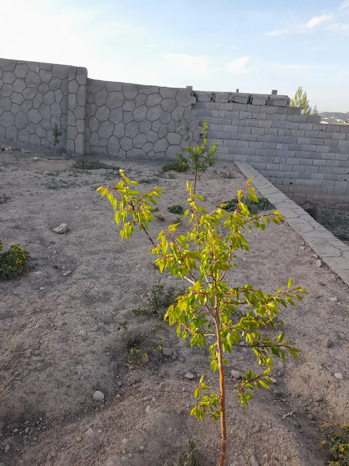 قطعه  زمین