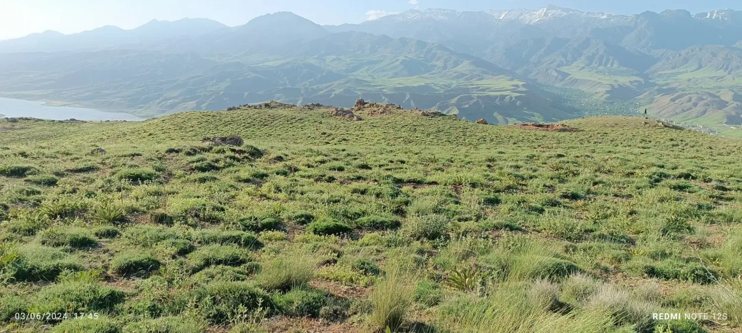 زمین حدود ۱۵۰۰ متر