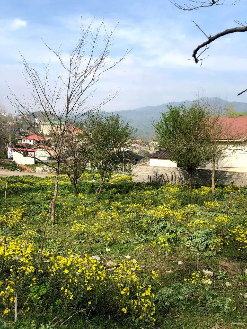 دو پلاک زمین ۲۳۵ متری داخل بافت بهمنان