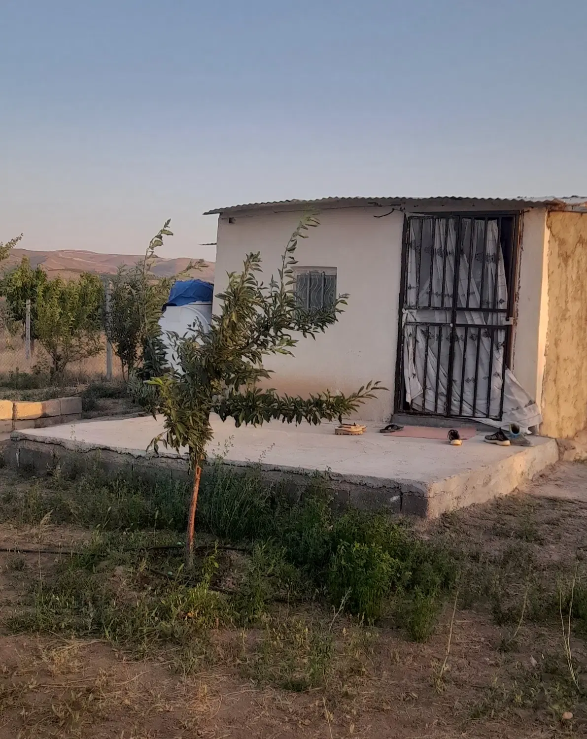 باغ ۱۰۰۰ متری در روستای کنگاور