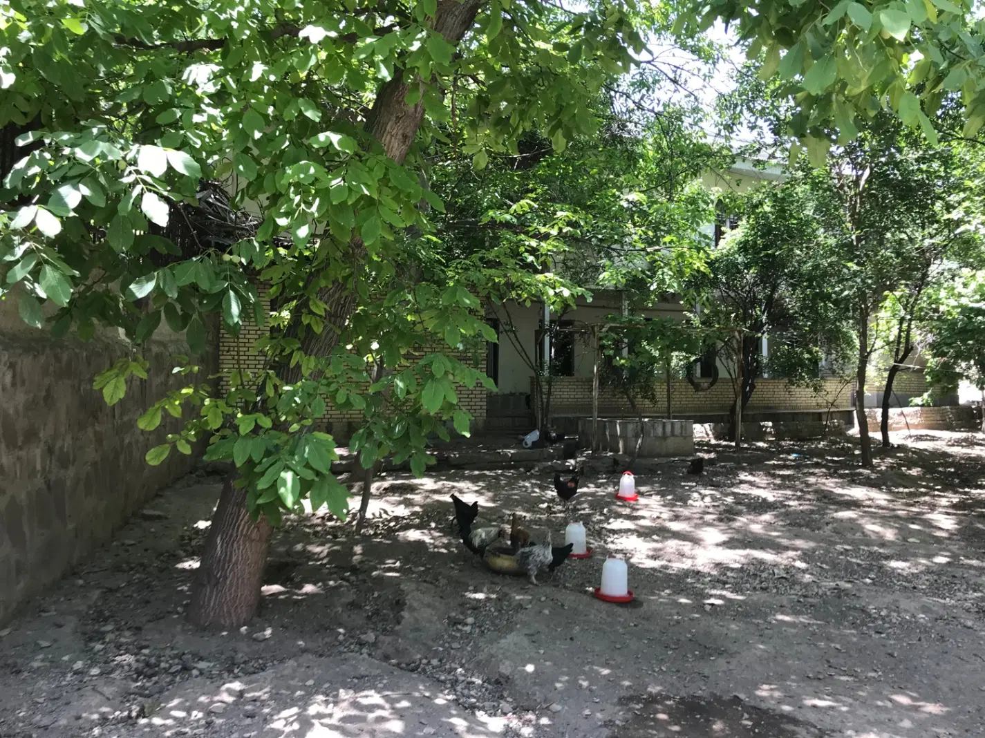 زمین مسکونی