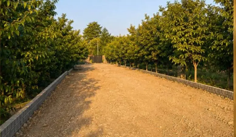 ۲۲۰۰ متر باغچه واقع در خوشنام برای فروش