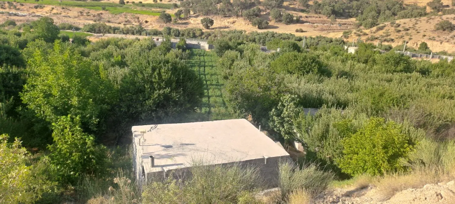 فروش باغ