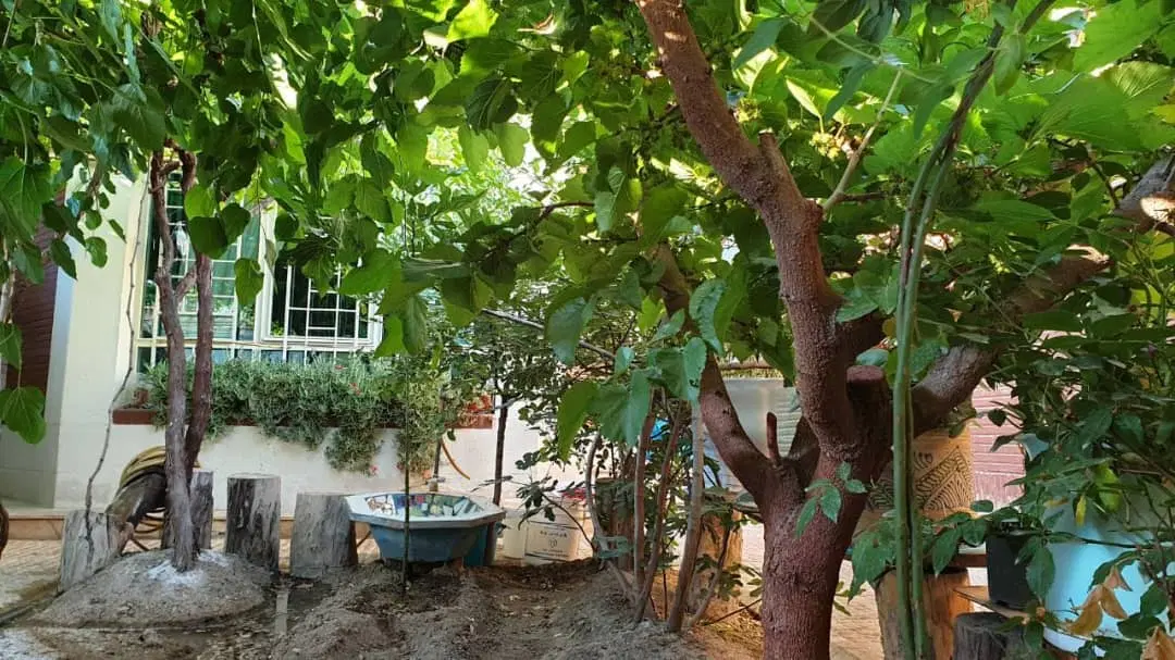 ویلایی ۲۵۰ متری بر خیابان مناسب اداری