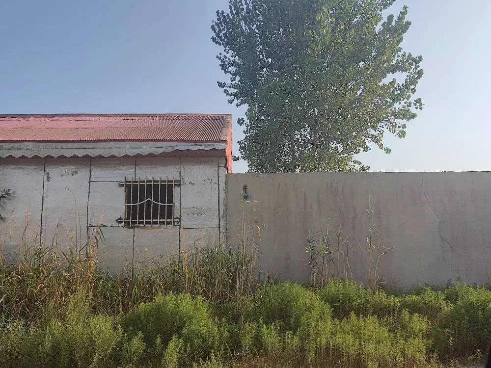 باغ 1050متری باغستان ارم