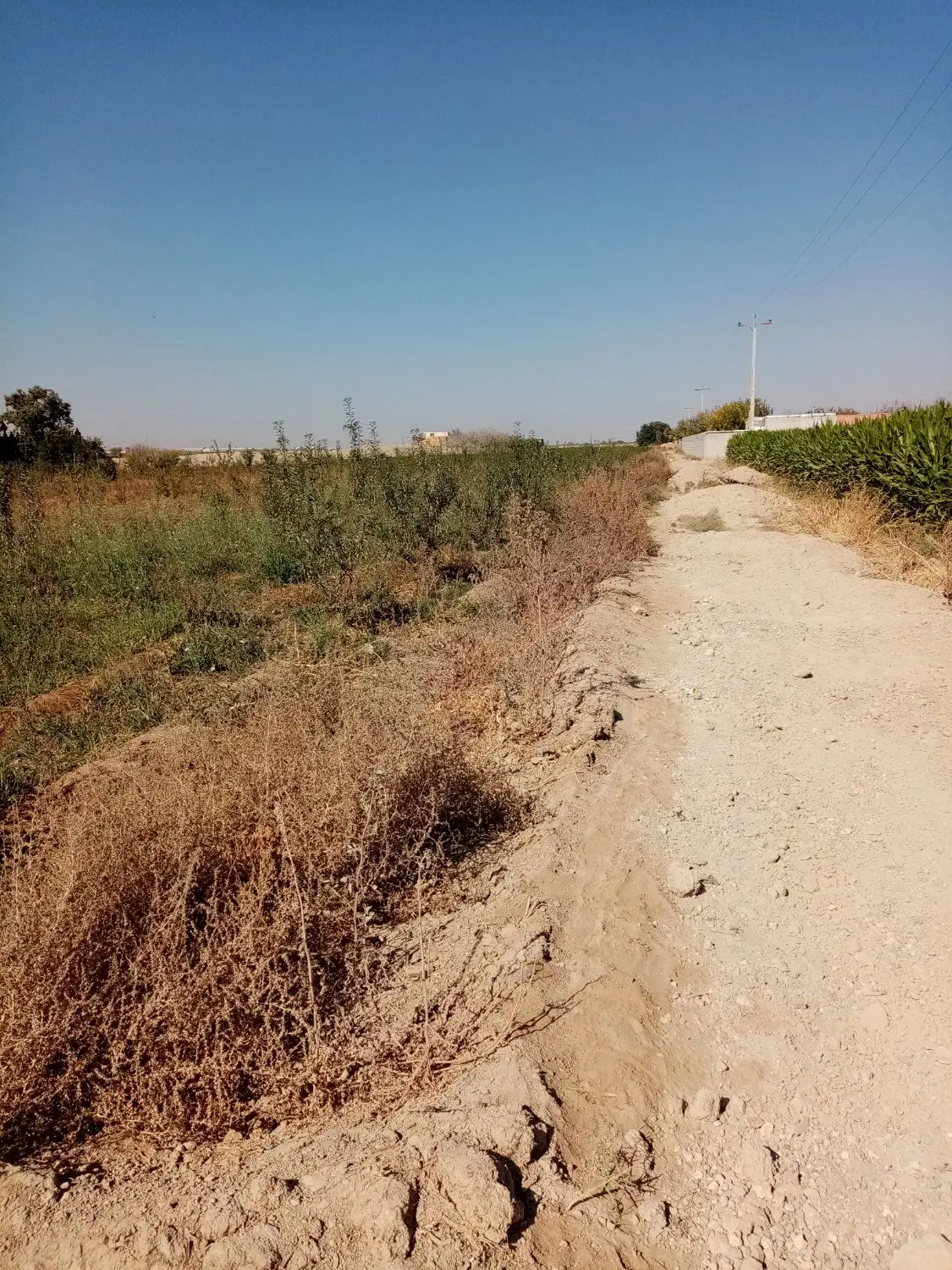 فروش باغ
