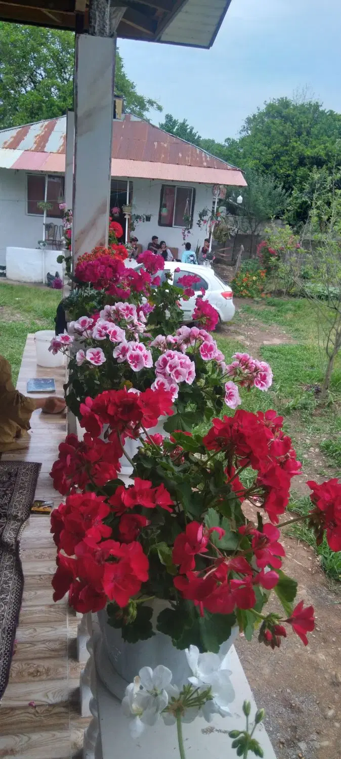 ویلا شیک وزیبا