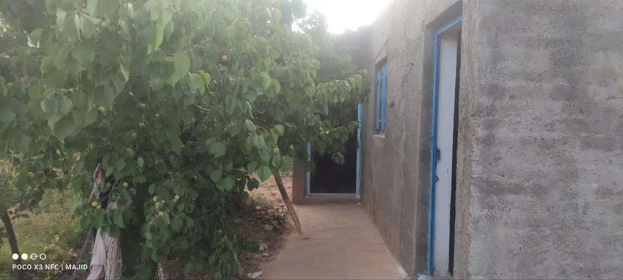 ۱۹۰۰متر باغ در شهر مجن ۱میلیارد و ۲۰۰