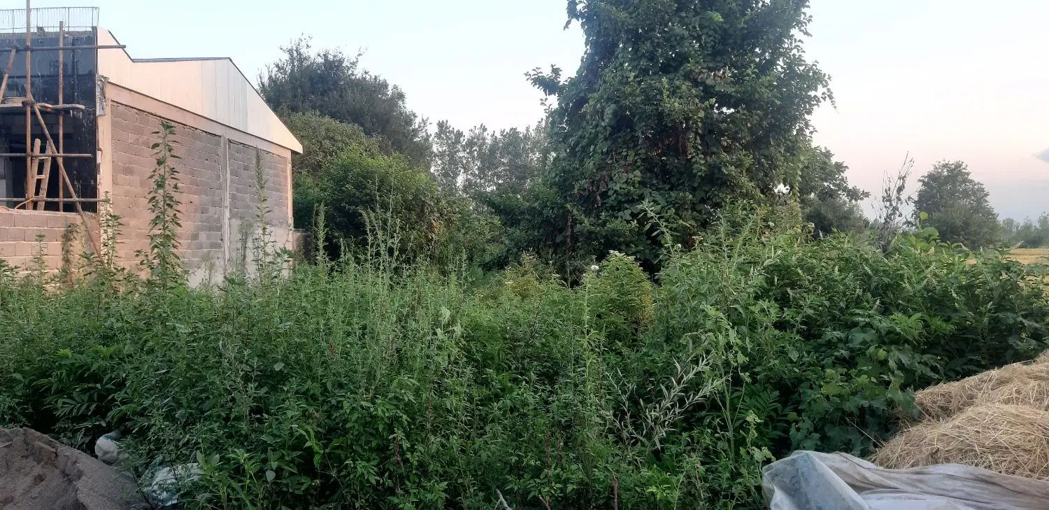 ۲۰۰ مترزمین مسکونی اتوبان رشت کوچصفهان روستای مژده