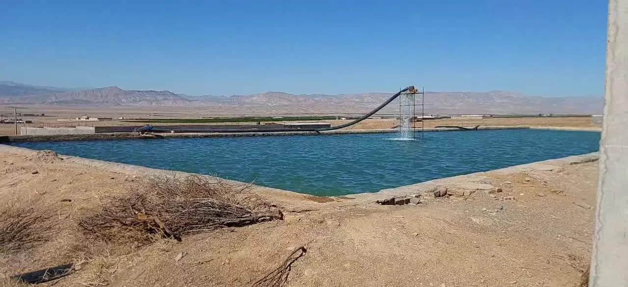 ۱ هکتار زمین کشاورزی با ۸ ساعت آب موتور ساوه