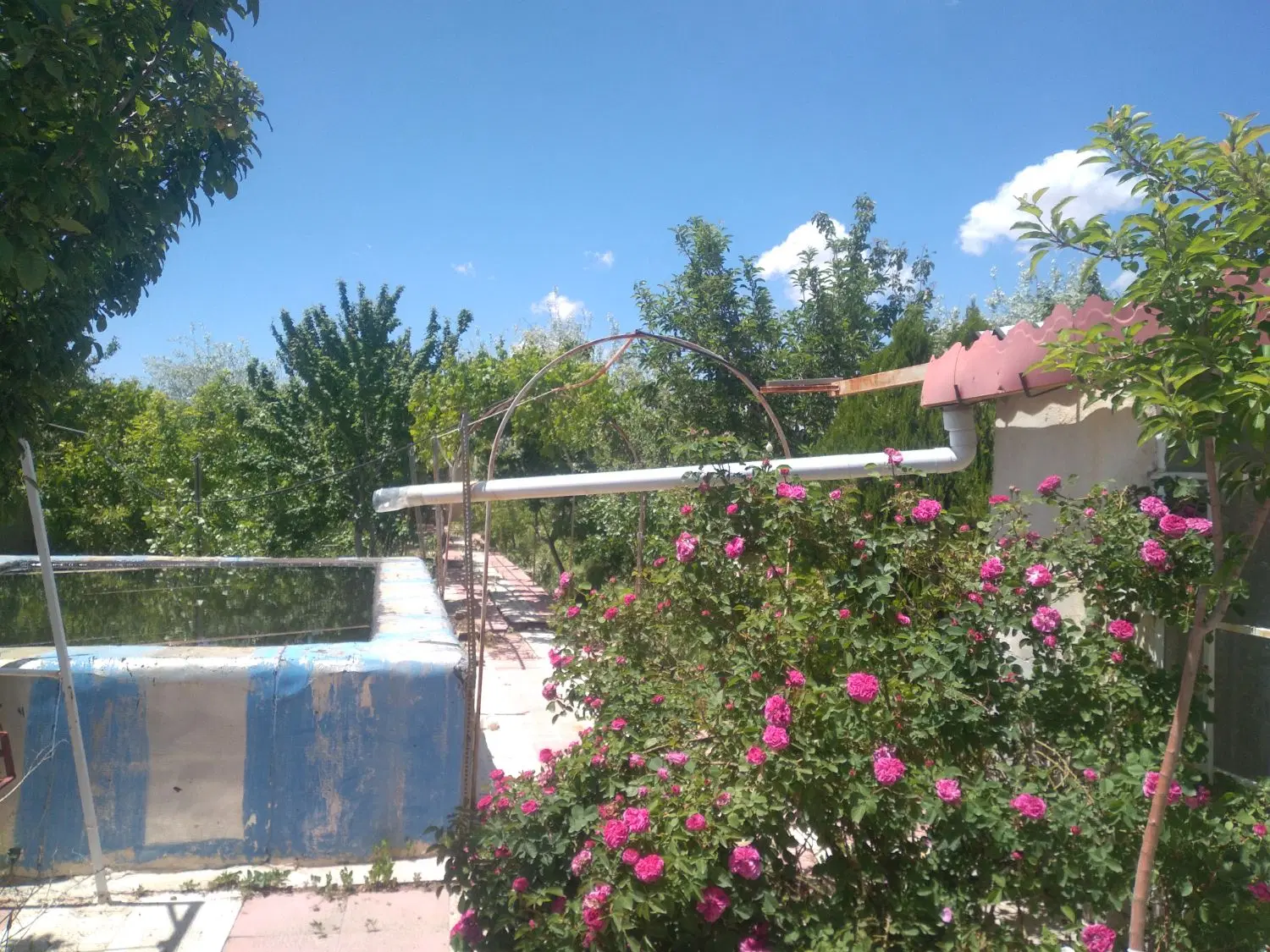 ویلا باغ در باغمعروف