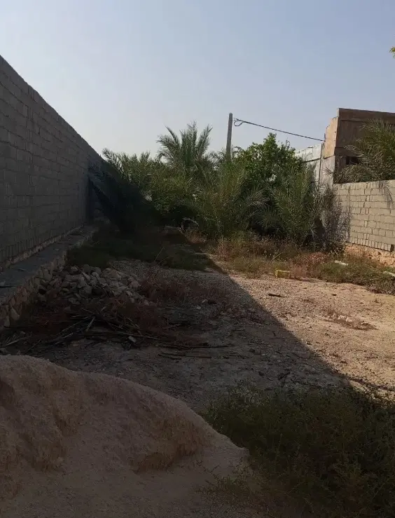 زمین در گورک جمال