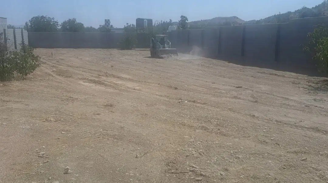 پرورش دام و تیور، کشاورزی رایگان