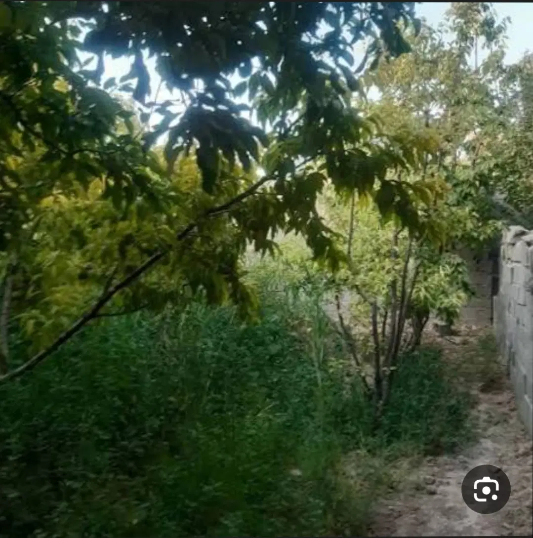 فروش باغ(مزایده)