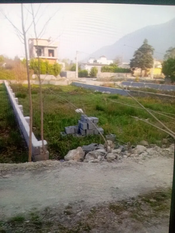 ۳۵۰متر زمین مالکم شهرکی گیت نگبانی سندتک برگ نوشهر
