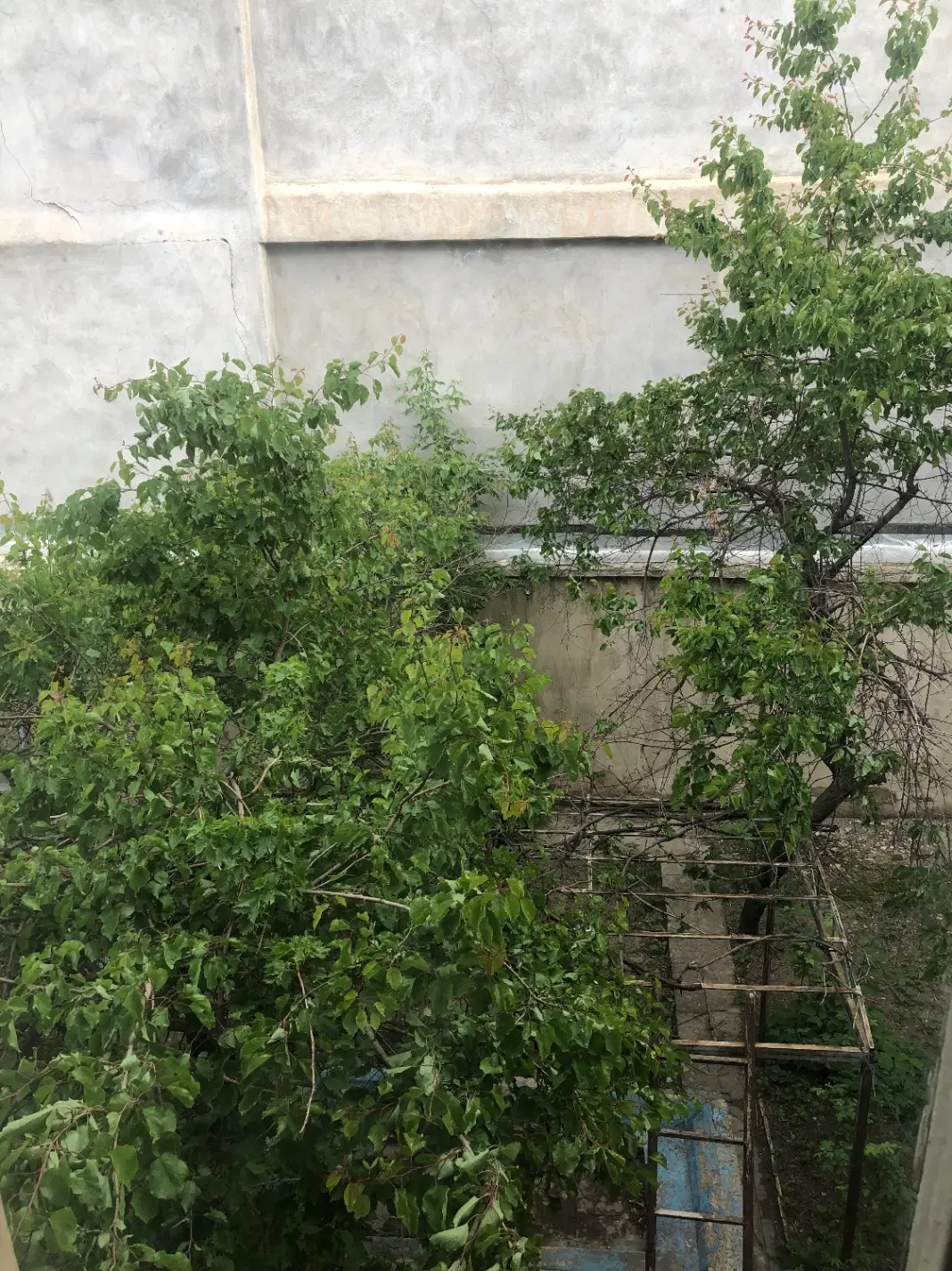 خانه حیاط دار مشجر دو طبقه