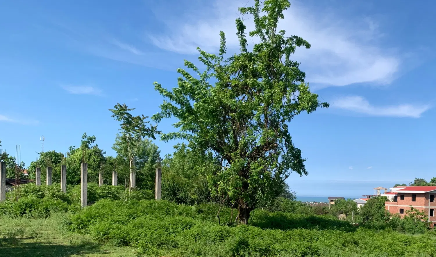 زمین ویلایی مسکونی