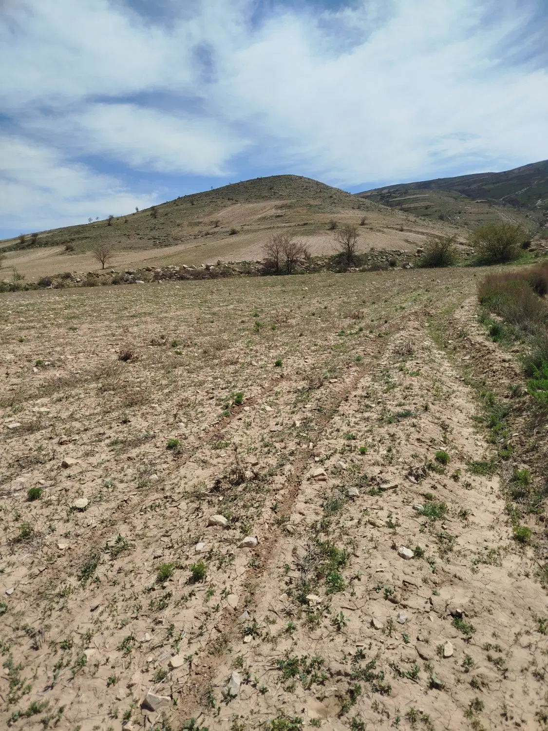 زمین کشاورزی دیم